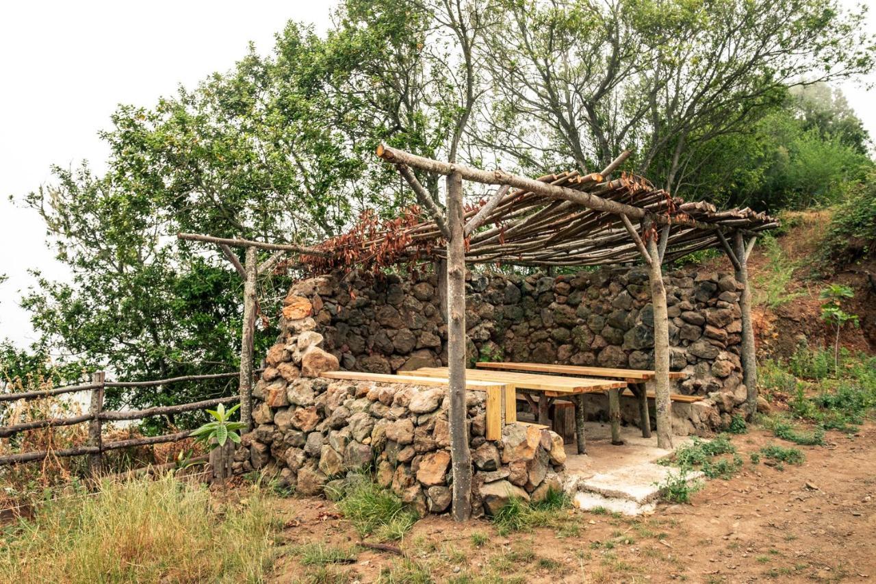 El Pino Centenario 4 Los Realejos Exteriér fotografie