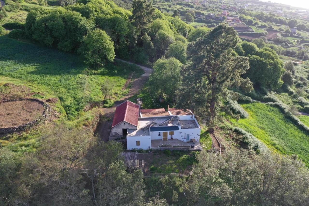 El Pino Centenario 4 Los Realejos Exteriér fotografie